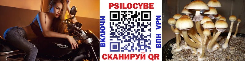 Псилоцибиновые грибы ЛСД  kraken   Ядрин 